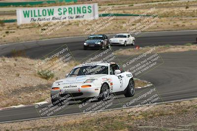 media/May-03-2025-Lucky Dog Racing (Sat) [[206de64b9d]]/Turn 4 A (3pm-4pm)/